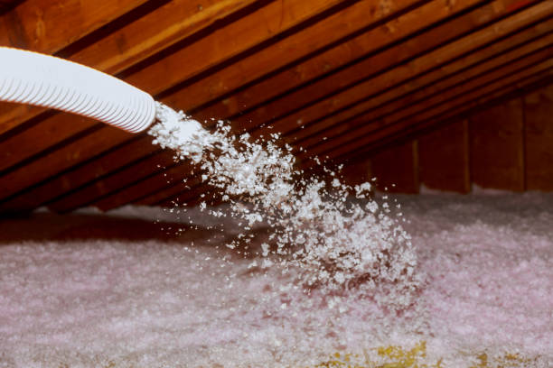 Best Energy-efficient Insulation  in Granite Shoals, TX