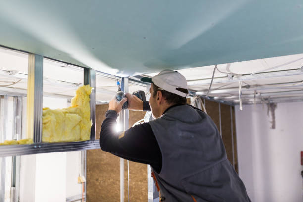 Best Local Insulation Services  in Granite Shoals, TX